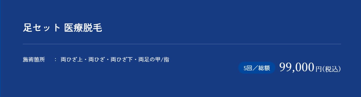 メンズアリシアクリニック仙台院全足セット医療脱毛5回