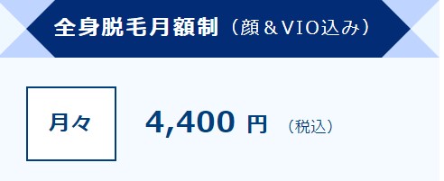 ストラッシュ川崎駅前店全身脱毛月額制